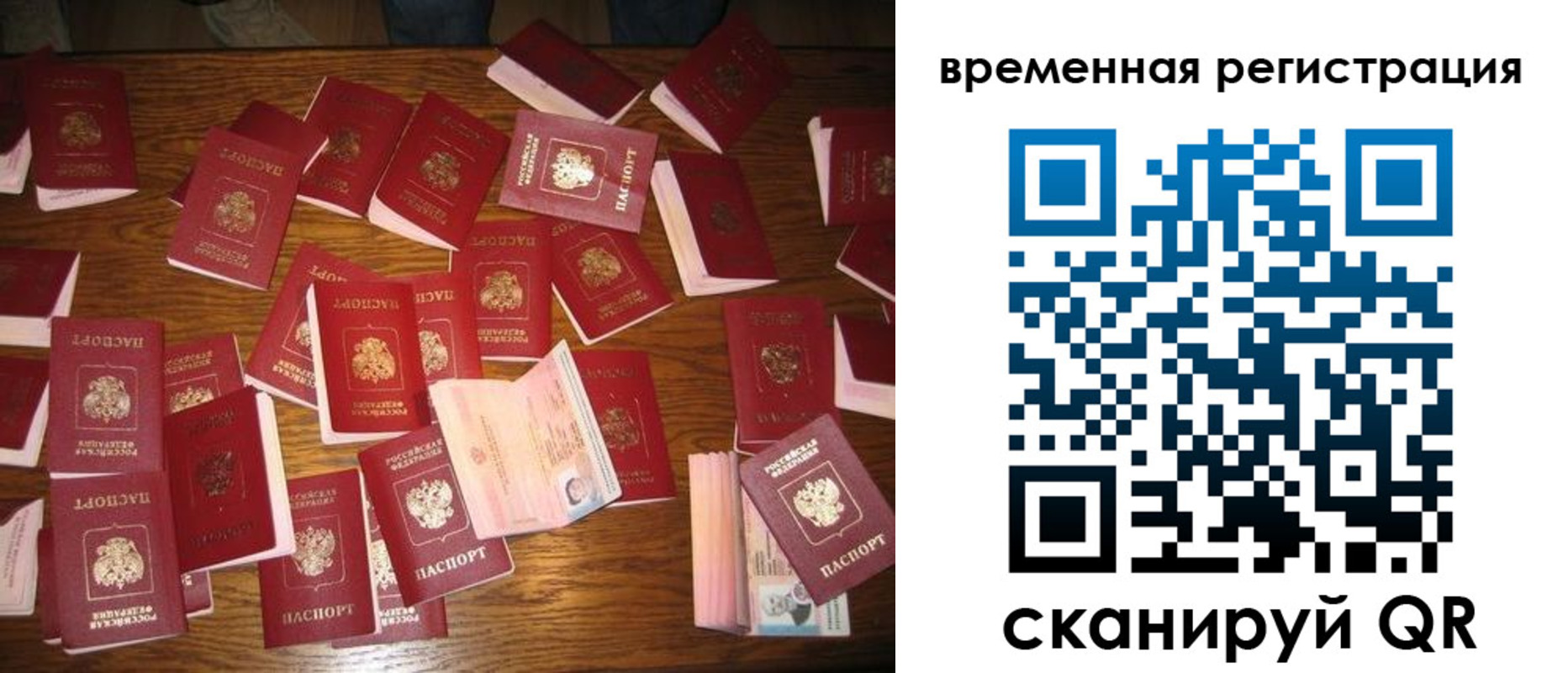 купить прописку в Саратовской области